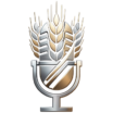 LOGO_DEG_WEB