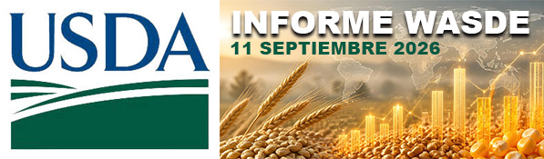 Informe WASDE de cereales del 11 de septiembre de 2026